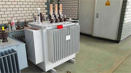 陇南S11-100KVA/10KV/0.4KV油浸式变压器